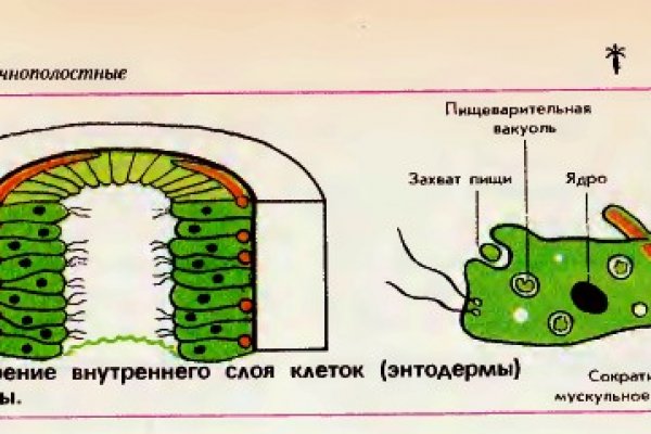 Кракен наркоман