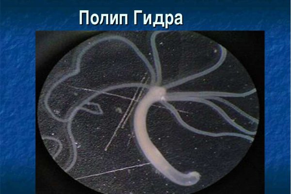 Как зайти на кракен
