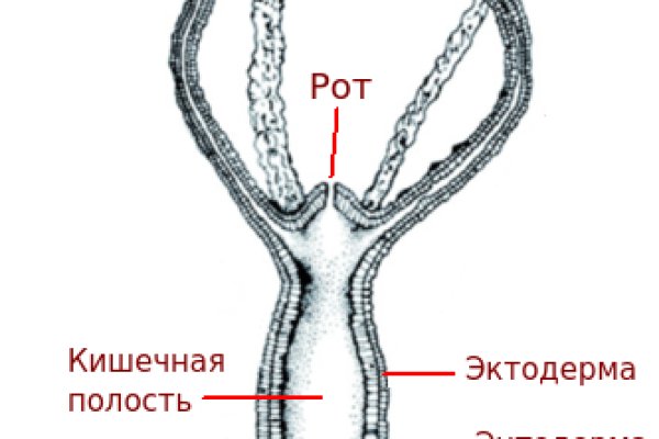 Кракен 12 сайт